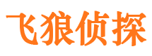 栾城外遇调查取证